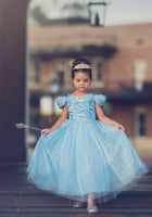 Load image into Gallery viewer, Classic Cinderella Princess Party Dress Costume - Fox Baby &amp; Co
