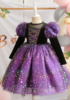 Load image into Gallery viewer, Witch Halloween Long Sleeve Long Sleeve Dress Costume with bag - Purple - Fox Baby &amp; Co
