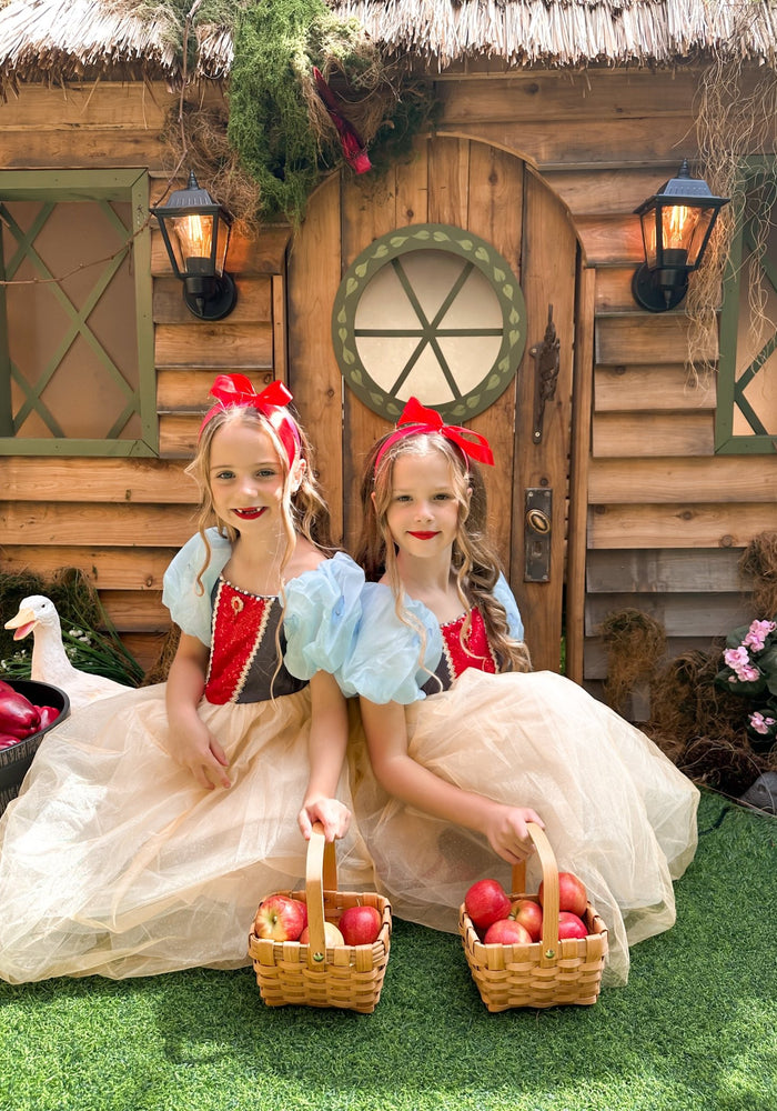 Magical Snow White Luxe Princess Party Dress Costume - Fox Baby & Co