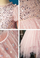 Load image into Gallery viewer, Enchanted Rose Sparkle Princess Birthday Long Sleeve Party Dress Costume &amp; Cape - Fox Baby &amp; Co
