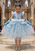 Load image into Gallery viewer, Cinderella Enchanted Castle Luxe Dress &amp; Gloves - Fox Baby &amp; Co
