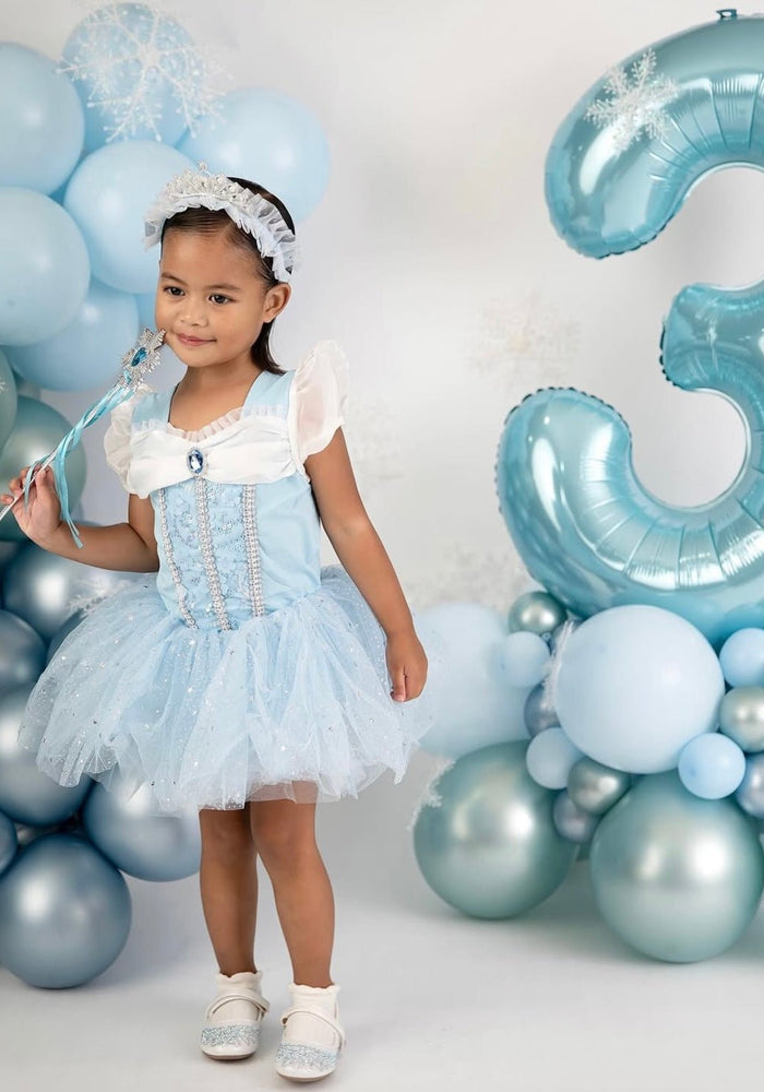 New Snow Princess Birthday Tutu - Fox Baby & Co