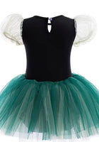 Load image into Gallery viewer, Anna Princess Birthday Tutu (limited edition) - Fox Baby &amp; Co
