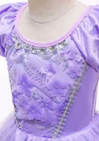 Load image into Gallery viewer, Sofia the First Princess Party Dress Costume (limited edition) - Fox Baby &amp; Co
