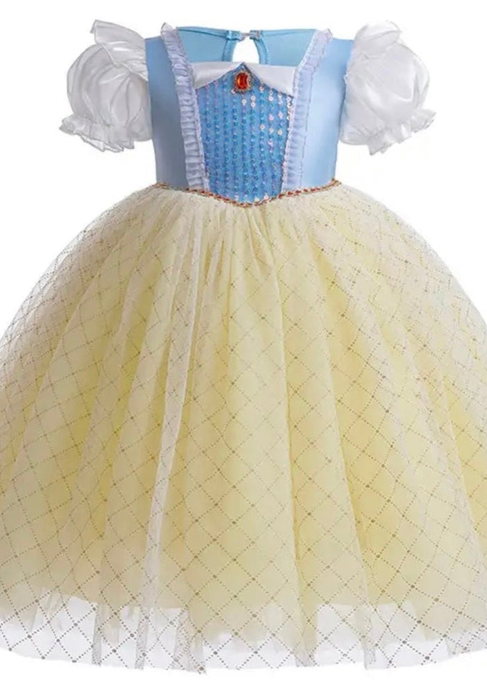 Magical Princess Birthday Party Dress Costume - Fox Baby & Co