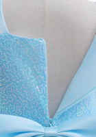 Load image into Gallery viewer, Bluebell Princess Birthday Party Dress Costume - Pre order - Fox Baby &amp; Co
