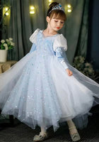 Load image into Gallery viewer, Snowflake Elsa Luxe Princess Long Sleeve Dress Costume &amp; Cape
