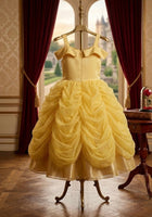 Load image into Gallery viewer, Classic Belle Luxe Princess Party Dress Costume - Fox Baby &amp; Co
