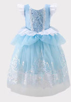 Load image into Gallery viewer, Cinderella Enchanted Castle Luxe Dress &amp; Matching Gloves - Fox Baby &amp; Co
