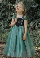 Load image into Gallery viewer, Magical Anna Princess Birthday Party Dress Costume - Fox Baby &amp; Co
