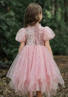 Load image into Gallery viewer, New Aurora Luxe Princess Party Dress Costume (limited edition) - Fox Baby &amp; Co
