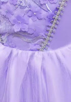 Load image into Gallery viewer, Sofia the First Princess Party Dress Costume (limited edition) - Fox Baby &amp; Co
