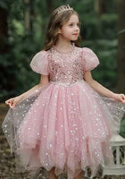 Load image into Gallery viewer, New Aurora Luxe Princess Party Dress Costume (limited edition) - Fox Baby &amp; Co
