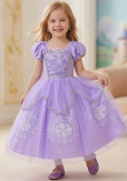 Load image into Gallery viewer, Sofia the First Princess Party Dress Costume (limited edition) - Fox Baby &amp; Co
