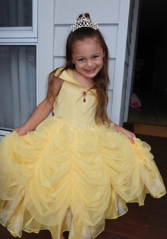 Classic Belle Luxe Princess Party Dress Costume - Fox Baby & Co