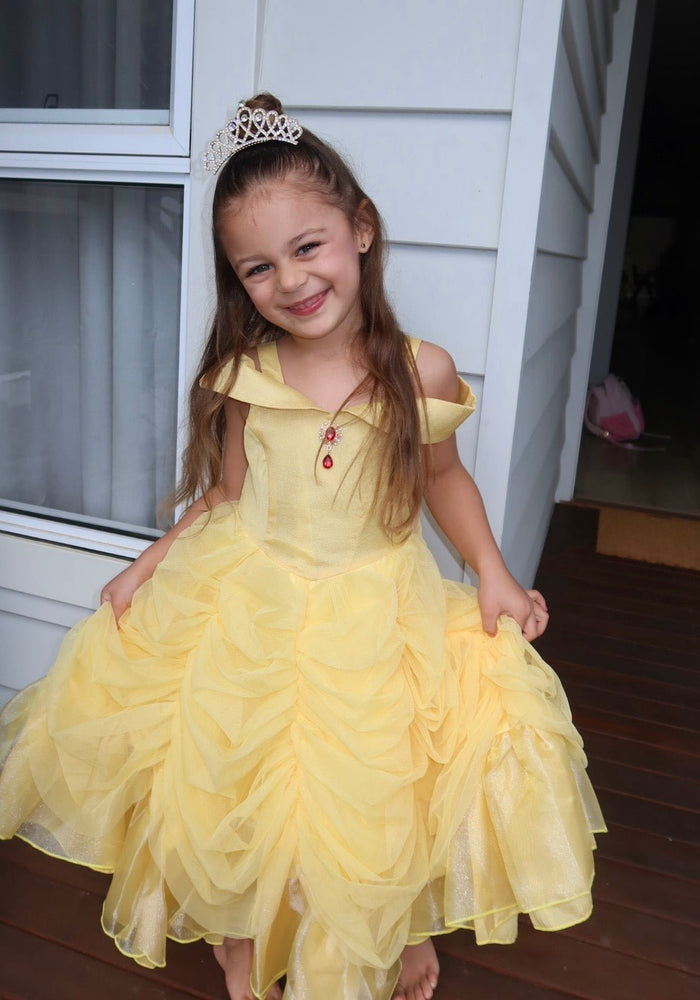 Classic Belle Luxe Princess Party Dress Costume - Fox Baby & Co