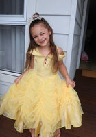 Load image into Gallery viewer, Classic Belle Luxe Princess Party Dress Costume - Fox Baby &amp; Co

