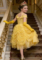 Load image into Gallery viewer, Classic Belle Luxe Princess Party Dress Costume - Fox Baby &amp; Co

