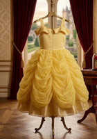 Load image into Gallery viewer, Classic Belle Luxe Princess Party Dress Costume - Fox Baby &amp; Co
