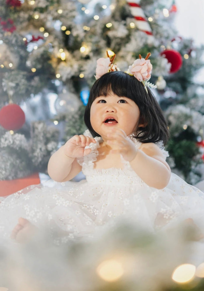 Kids little girls Arabella Daisy Tulle Dress - White - Fox Baby & Co