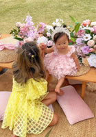 Load image into Gallery viewer, Whimsical Butterfly Tulle Dress - Baby Pink - Fox Baby &amp; Co
