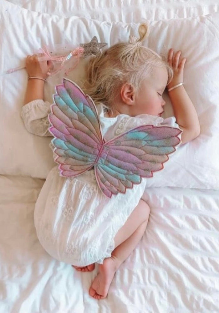 Kids little girls Rainbow Fairy Wings and wand Birthday set - pink - Fox Baby & Co