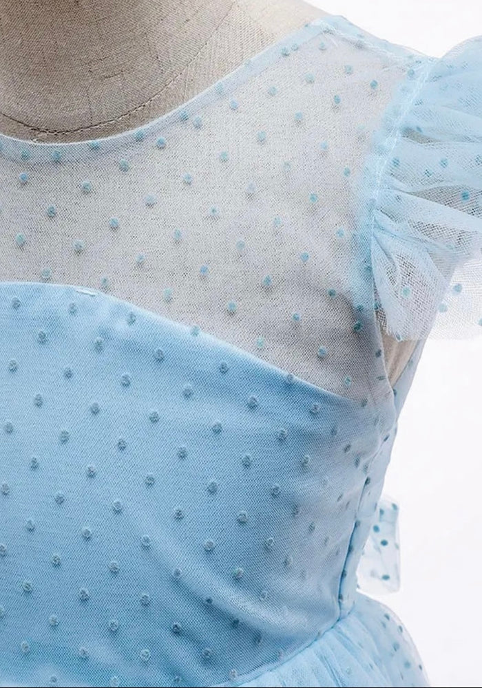 Kid little girl Blue Princess Birthday Tulle Dress - Fox Baby & Co